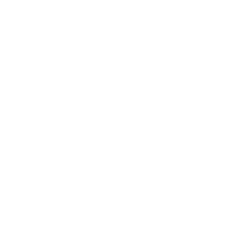 Why 100% electric?