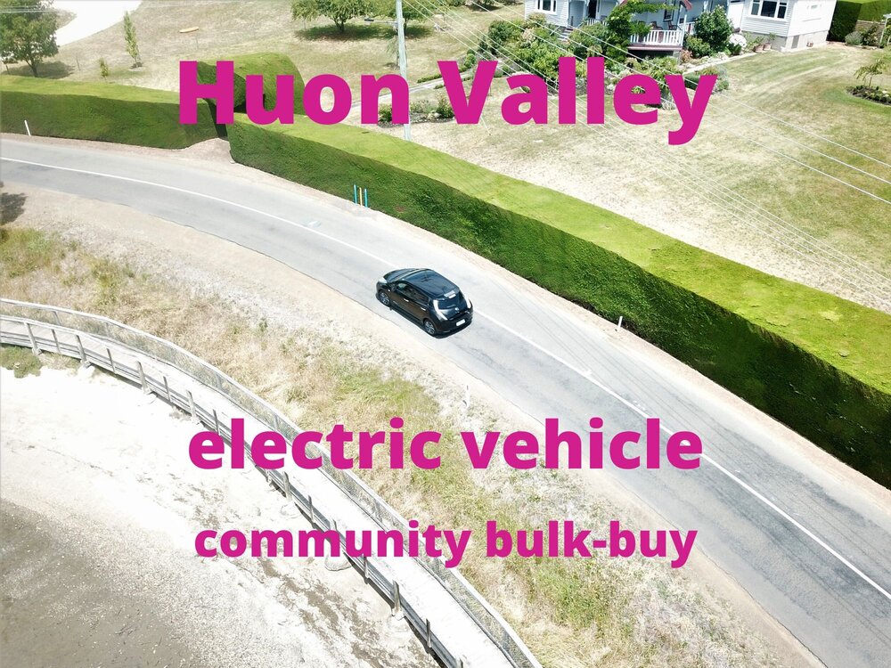 Electric Vehicle