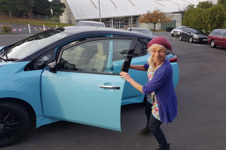 skyblue nissan leaf owner