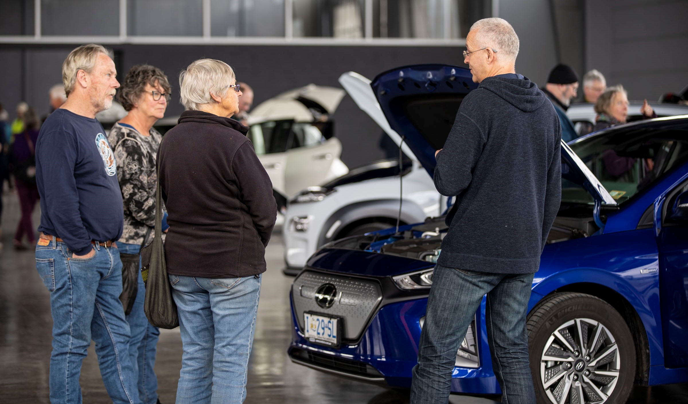 Ioniq show and shine