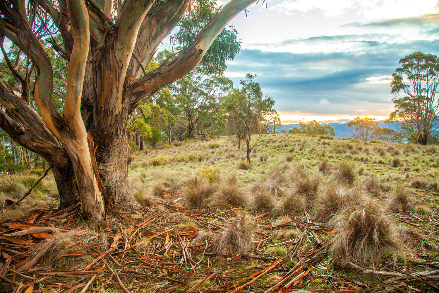 Tinderbox_Hills_AndyTownsend_25_6_20-15-1